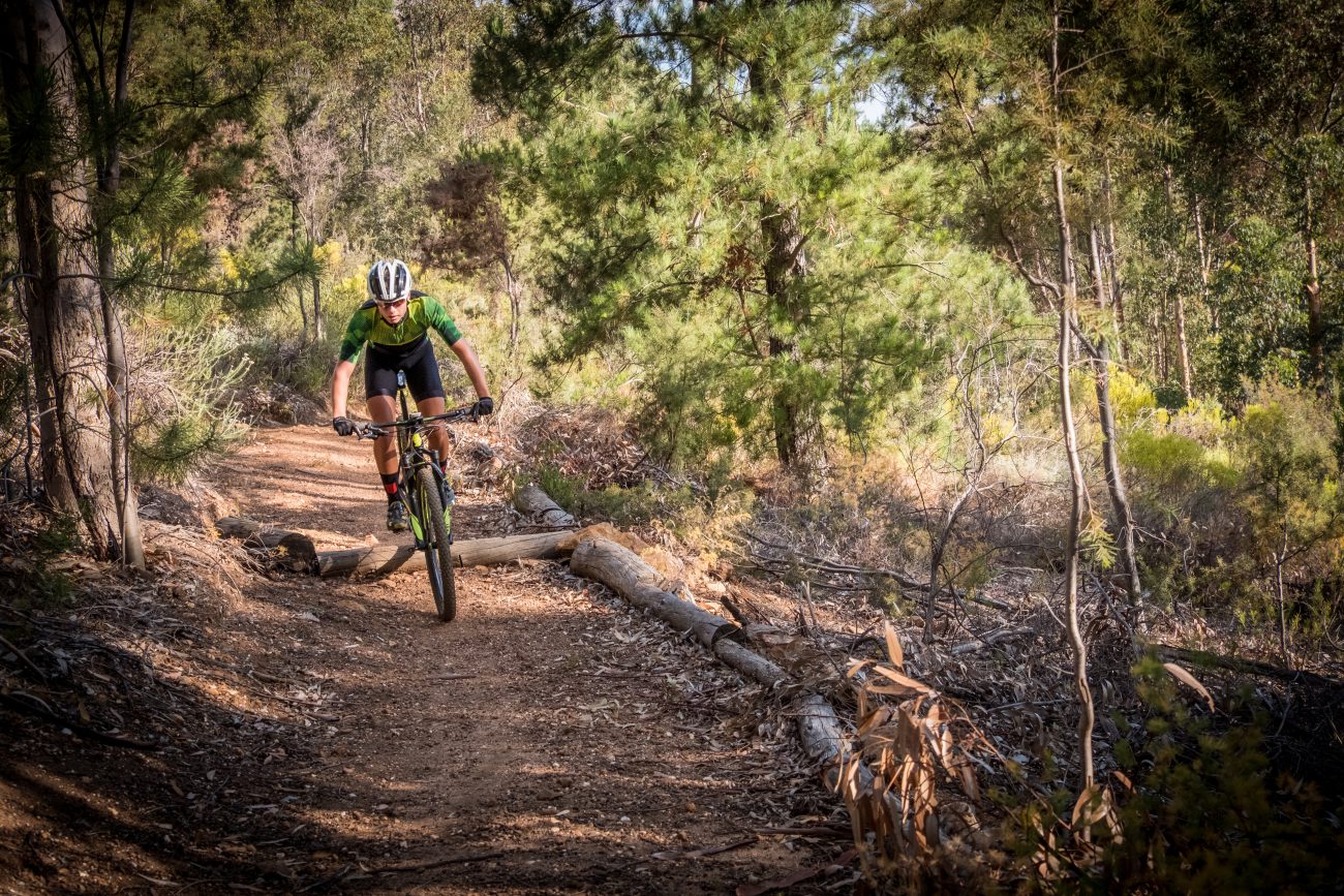 自転車は効率的にカロリーを消費できる？速度や種類別の消費量は