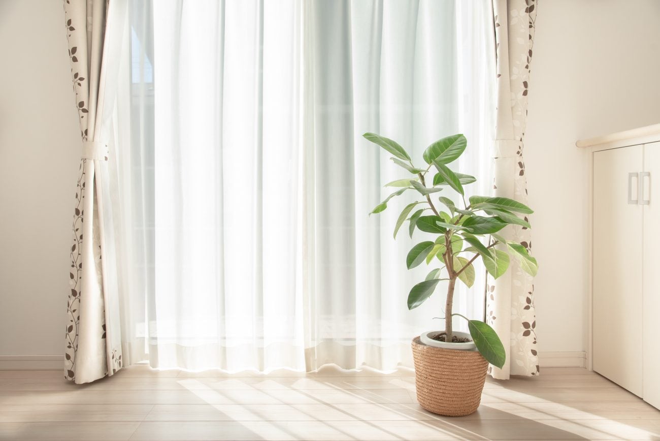 丁寧な暮らしとは?特徴や始め方を具体例を交えて紹介!