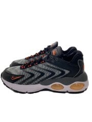 画像：AIR MAX TW NEXT NATURE_エアマックス TW ネクスト ネイチャー/27cm/SLV//