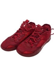 画像：AIR JORDAN XXXIX PF_エア ジョーダン 39 PF/29cm/RED