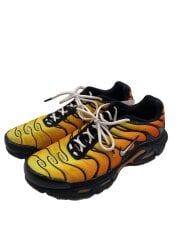 画像：AIR MAX PLUS/エアマックスプラス/ブラック/852630-040/29cm/BLK