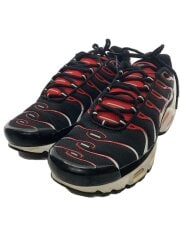 画像：AIR MAX PLUS_エア マックス プラス/27cm/DM0032-004