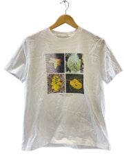 画像：Tシャツ/38/コットン/WHT