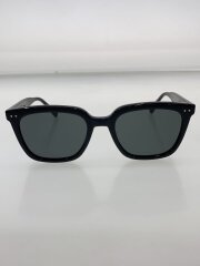 画像：サングラス/ウェリントン/GRN/メンズ