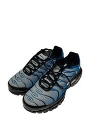 画像：AIR MAX PLUS_エア マックス プラス/28cm/BLU//