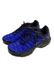 画像：AIR MAX PLUS PRM_エア マックス プラス プレミアム/26.5cm/BLU
