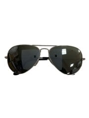 画像：AVIATOR CLASSIC/サングラス/ウェリントン/メタル/SLV/GRN/メンズ/RB 3025