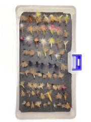 画像：フィッシングその他