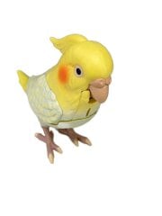 画像：もっとおしゃべり天才オカメインコちゃん/ホビーその他//