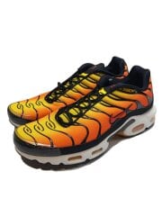 画像：AIR MAX PLUS_エア マックス プラス/30cm/ORN