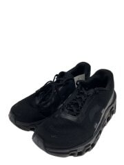 画像：SWISS ENGNEEING/シューズ/24.5cm/BLK/3WE10110106//