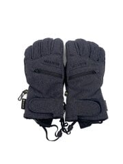 画像：ウインタースポーツその他/IDG