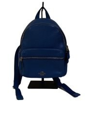 画像：ミニチャーリー・バックパック/--/BLU