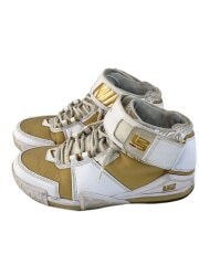 画像：ZOOM LEBRON II_ズーム レブロン 2/27.5cm/WHT