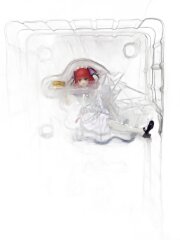 画像：フィギュア/コミック&アニメ/TENITOL 五等分の花嫁