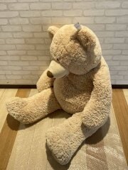 画像：クマぬいぐるみ/キッズ他/BEG