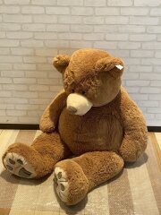 画像：キッズ他/CML