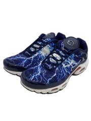 画像：AIR MAX PLUS_エアマックスプラス/28.5cm/BLU