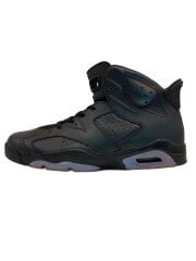 画像：AIR JORDAN 6 RETRO AS/エアジョーダンレトロ/ブラック/907961-015/31cm/BLK
