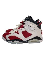画像：AIR JORDAN 6 RETRO_エアジョーダン 6 レトロ/29cm/ホワイト/Nike/ナイキ