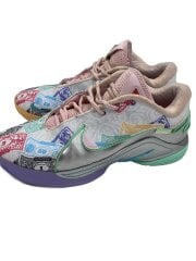 画像：LEBRON XXII_レブロン 22/29cm/PNK