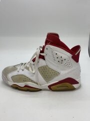 画像：AIR JORDAN 6 RETRO/エアジョーダンレトロ/ホワイト/384664-113/27cm/WHT