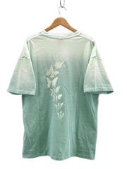 画像：Tシャツ/L/コットン/GRN/HV2957-394/butterfly