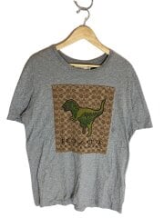 画像：Tシャツ/M/コットン/GRY/43064