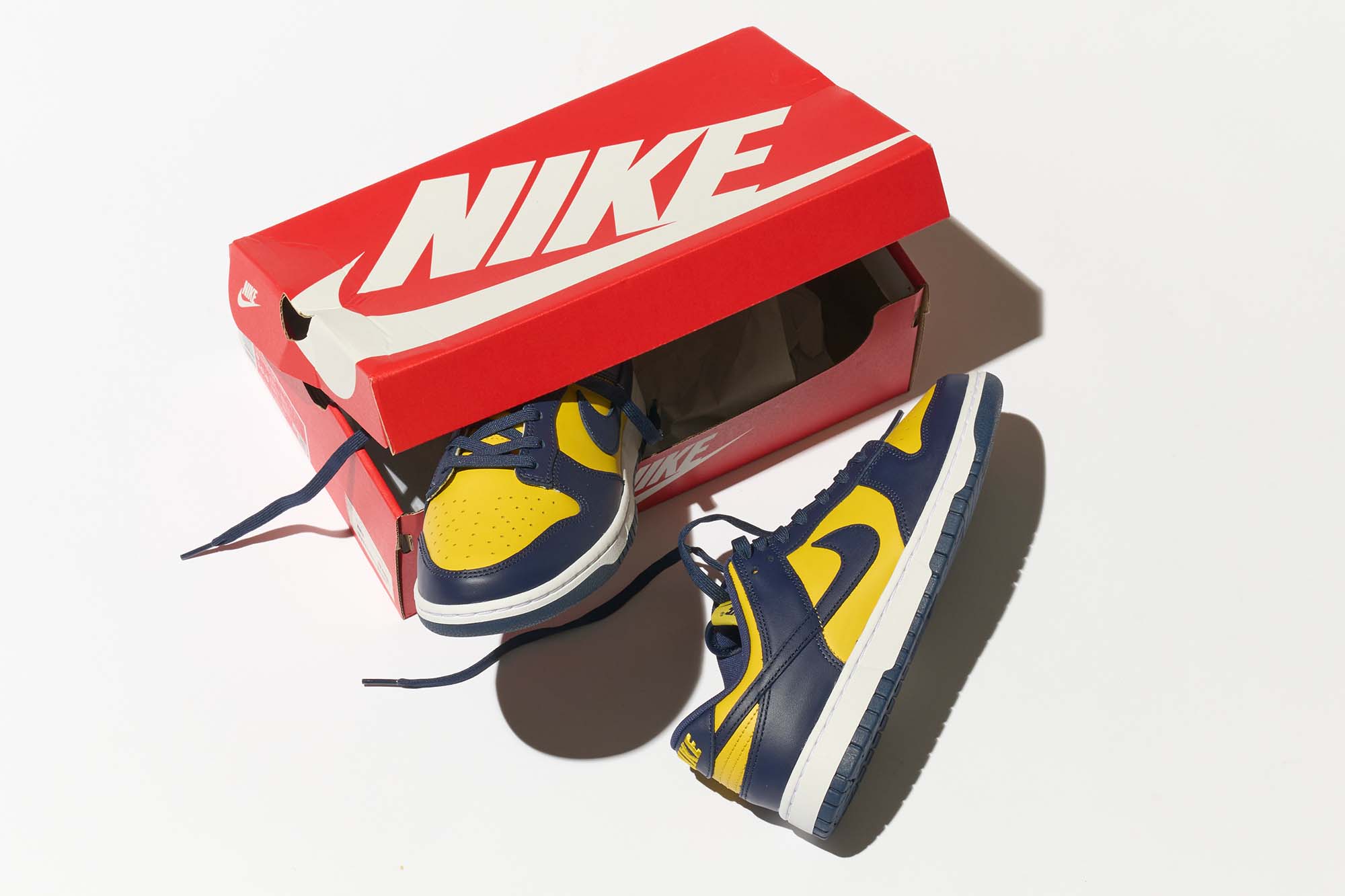 NIKE_ナイキ_ダンク_エアジョーダン_インディブーツ_DUNK-LOW _ダンクロー_03